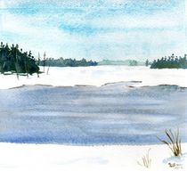 Winter Pond von Sandy McDermott