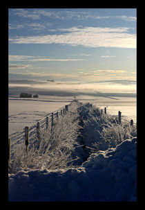 Still Life - Frozen Scotland by Liz Alderdice