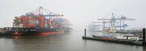 Eurogate Nebel by photoart-hartmann