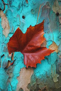 'Autumn Leaf' von CHRISTINE LAKE