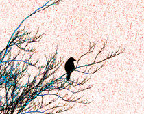 black crow red snow by ekk lory