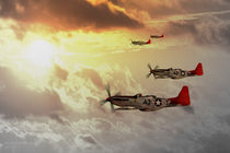Red Tails by James Biggadike