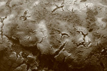 A loaf of bread - sepia von Intensivelight Panorama-Edition