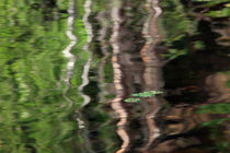Forest reflected in a lake von Intensivelight Panorama-Edition