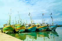Boote im Hafen von Mirissa auf der tropischen Insel Sri Lanka von Gina Koch
