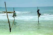Stangenfischer  in Kogalla auf Sri Lanka von Gina Koch