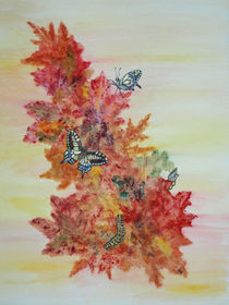  Schmetterlings-Metamorphose und Herbstblätter (metamorphosis of butterflies, autumn leafs, still life) von Dagmar Laimgruber