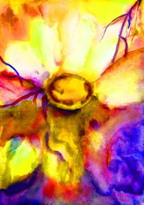 Sonnenblume von Irina Usova