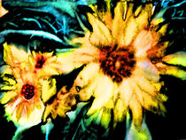 Sonnenblumen von Irina Usova