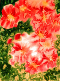 Blühender Cactus von Irina Usova