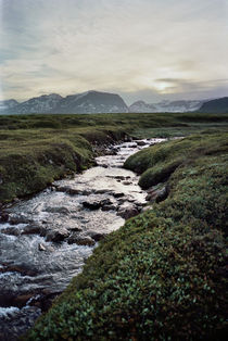 Creek in Loðmundarfjörður, Iceland by intothewide