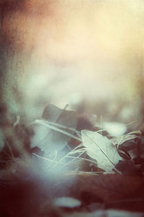 Leaves of Time von Trish Mistric