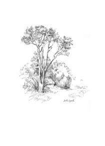 Landscape drawing of a tree and a house von Sofía Ugarte