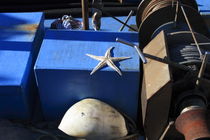 Starfish on a blue ship von Intensivelight Panorama-Edition