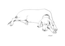 Drawing of a sleeping dog von Sofía Ugarte