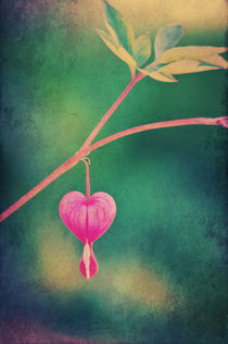 Love is in the air... by AD DESIGN Photo + PhotoArt