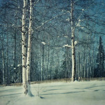 still winter by Priska  Wettstein