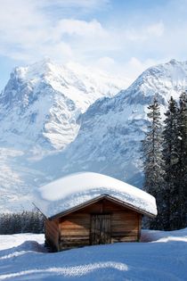 Hütte vor Wetterhorn von Bettina Schnittert