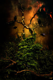 Crows Nest von Chris Lord