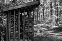 Wood stacked in a shed - monochrome von Intensivelight Panorama-Edition