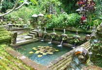 heiliges Wasser auf Bali by reisemonster