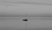 Sailboat & Seagull by Billy Bartholomew