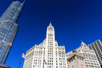 Wrigley Building and Trump Tower Photograph by Milena Ilieva