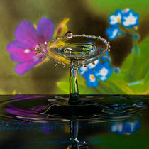 Glass flower by Ronny Tertnes