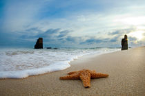 Starfish and monoliths by Sean Davey