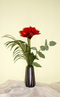 Roter Blumenstrauß  von Bastian  Kienitz