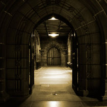 Looking through arched doors in ancient building von illu