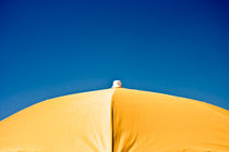 Beach Umbrella by moonbloom