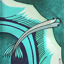 gliding fins by Anna Asche