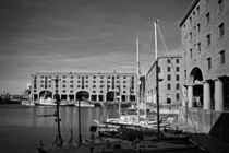 Albert Dock and Liver Buildings  von illu
