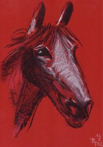 Pferd by Peter Jacobsen