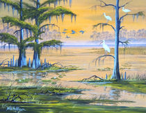 Ibis - Everglades Misty Sunrise von bill holkham