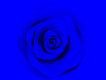 Blue Rose von tiaeitsch