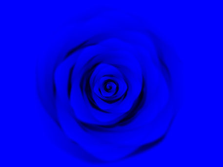 Blue-rose