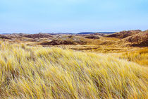 dune the nederlands 2 by Leandro Bistolfi
