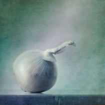 onion by Priska  Wettstein