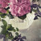 Romantische-hortensien