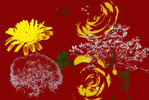 Blumen auf Rot by alana