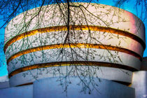 The Guggenheim Museum, New York City  von Chris Lord