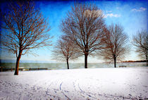 Winter Beauty by Milena Ilieva