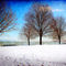 Winter-beauty