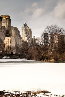Central Park South Side by David Tinsley