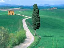 Country Road, Tuscany, Italy von pcexpert