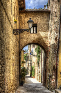 Tuscan Alley by David Tinsley