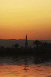 Nile Sunset von David Tinsley