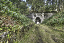 Mierystock Tunnel von David Tinsley